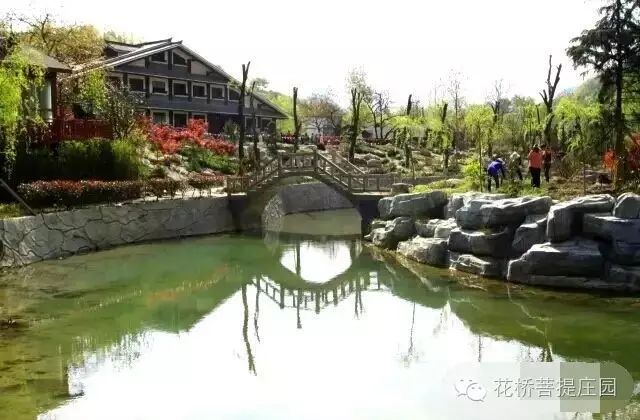 這個周末，隴南康縣花橋有大事要發(fā)生？