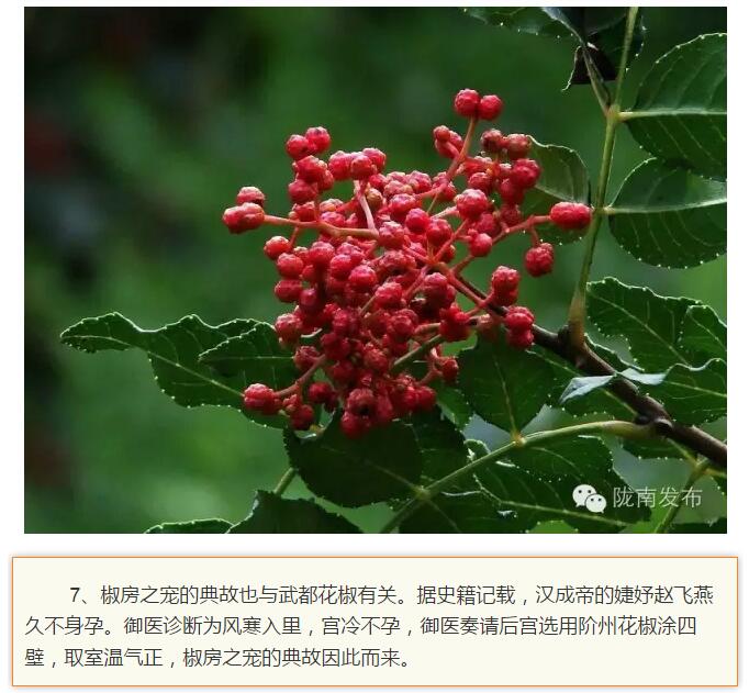 蘭渝鐵路最早由孫中山先生提出？在隴南，你不知道的事兒還有……