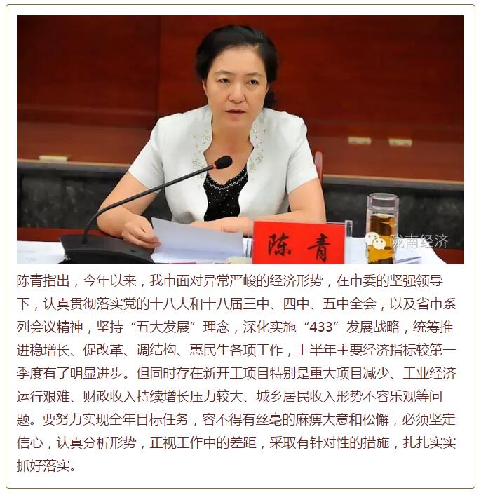陳青在市政府全體會議上強調(diào)：緊盯一個目標抓好九大任務落實強化三項保障，確保全市經(jīng)濟社會持續(xù)快速發(fā)展