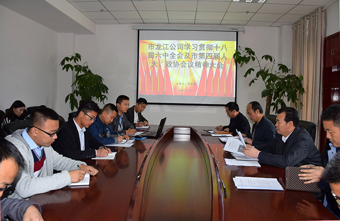 市龍江公司召開全體員工大會，專題傳達學(xué)習(xí)上級會議精神