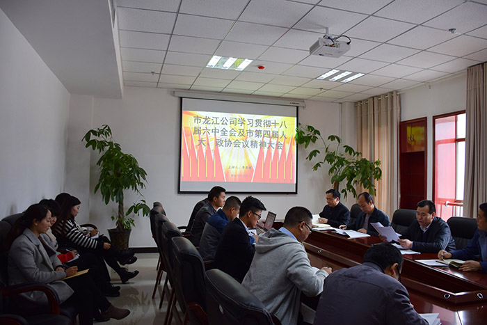 市龍江公司召開全體員工大會，專題傳達學(xué)習(xí)上級會議精神